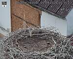 Capi_Dubne_20260901_173503.jpg