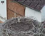 Capi_Dubne_20260901_180003.jpg