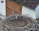 Capi_Dubne_20260901_182503.jpg