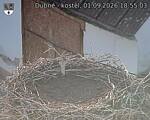 Capi_Dubne_20260901_185503.jpg