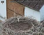 Capi_Dubne_20260901_191003.jpg