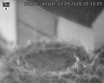 Capi_Dubne_20260901_201005.jpg