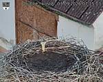 Capi_Dubne_20260903_072503.jpg