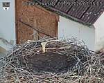 Capi_Dubne_20260903_073503.jpg