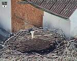 Capi_Dubne_20260903_075003.jpg