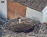 Capi_Dubne_20260903_075503.jpg