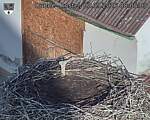 Capi_Dubne_20260903_080503.jpg