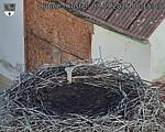 Capi_Dubne_20260903_081503.jpg