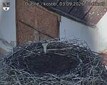 Capi_Dubne_20260903_083503.jpg