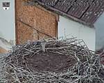 Capi_Dubne_20260903_130503.jpg