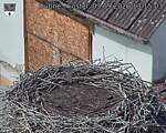 Capi_Dubne_20260903_131503.jpg