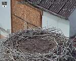 Capi_Dubne_20260903_133503.jpg