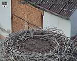 Capi_Dubne_20260903_134003.jpg