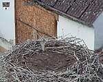 Capi_Dubne_20260903_143503.jpg
