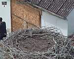 Capi_Dubne_20260903_151003.jpg