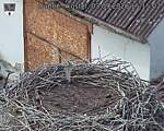 Capi_Dubne_20260903_151502.jpg