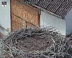 Capi_Dubne_20260903_152503.jpg