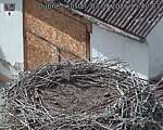 Capi_Dubne_20260903_154003.jpg