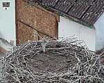 Capi_Dubne_20260903_164003.jpg