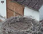 Capi_Dubne_20260903_164502.jpg