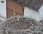 Capi_Dubne_20260903_185004.jpg