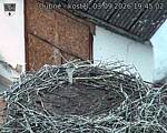 Capi_Dubne_20260903_194502.jpg