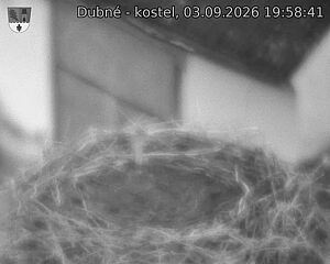 Capi_Dubne_20260903_195841.jpg (1350&nbsp;x&nbsp;1080)