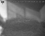 Capi_Dubne_20260903_212119.jpg