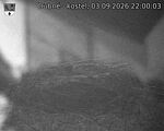 Capi_Dubne_20260903_220003.jpg