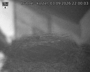 Capi_Dubne_20260903_220003.jpg (1350&nbsp;x&nbsp;1080)