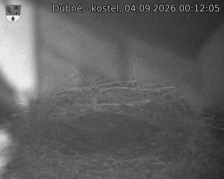 preload