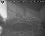 Capi_Dubne_20260904_010558.jpg