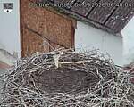 Capi_Dubne_20260904_064004.jpg