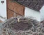 Capi_Dubne_20260904_070006.jpg