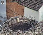 Capi_Dubne_20260904_071503.jpg