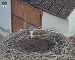 Capi_Dubne_20260904_072503.jpg
