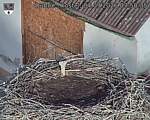 Capi_Dubne_20260904_075035.jpg