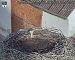 Capi_Dubne_20260904_080036.jpg