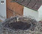 Capi_Dubne_20260904_080503.jpg