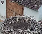 Capi_Dubne_20260904_081520.jpg