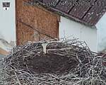 Capi_Dubne_20260904_084003.jpg