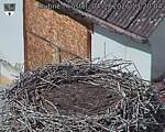 Capi_Dubne_20260904_132004.jpg