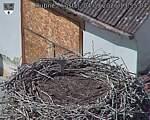 Capi_Dubne_20260904_135504.jpg