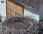 Capi_Dubne_20260904_143003.jpg