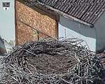 Capi_Dubne_20260904_144004.jpg
