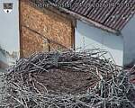 Capi_Dubne_20260904_145003.jpg