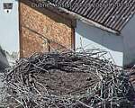 Capi_Dubne_20260904_150004.jpg