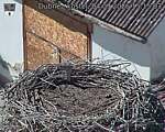 Capi_Dubne_20260904_151503.jpg