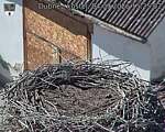 Capi_Dubne_20260904_152502.jpg