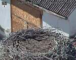 Capi_Dubne_20260904_153503.jpg
